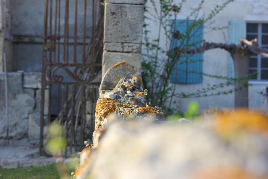 Mas Petit Prince Arles Luaran gambar